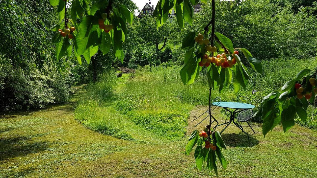 Gite Au Petit Ruisseau-Etage Et Combles-Maison Alsacienne 4 Personnes 4 Nuitees Minimum Langensoultzbach Luaran gambar