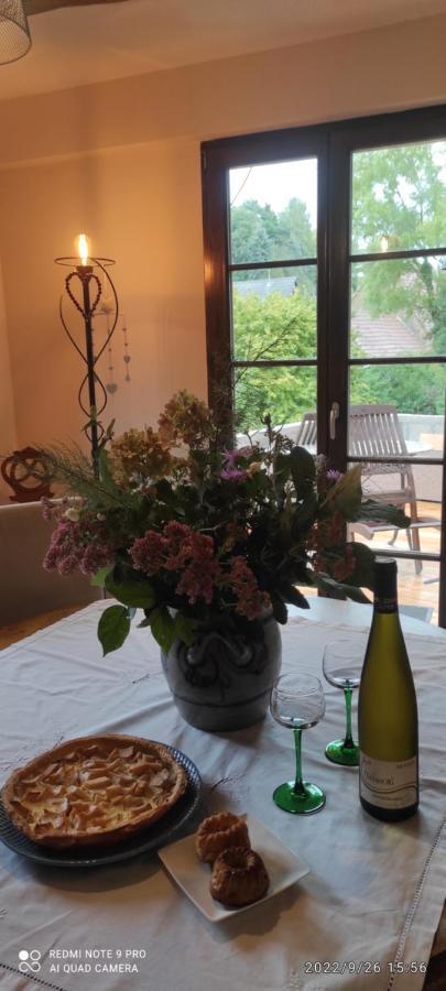Gite Au Petit Ruisseau-Etage Et Combles-Maison Alsacienne 4 Personnes 4 Nuitees Minimum Langensoultzbach Luaran gambar