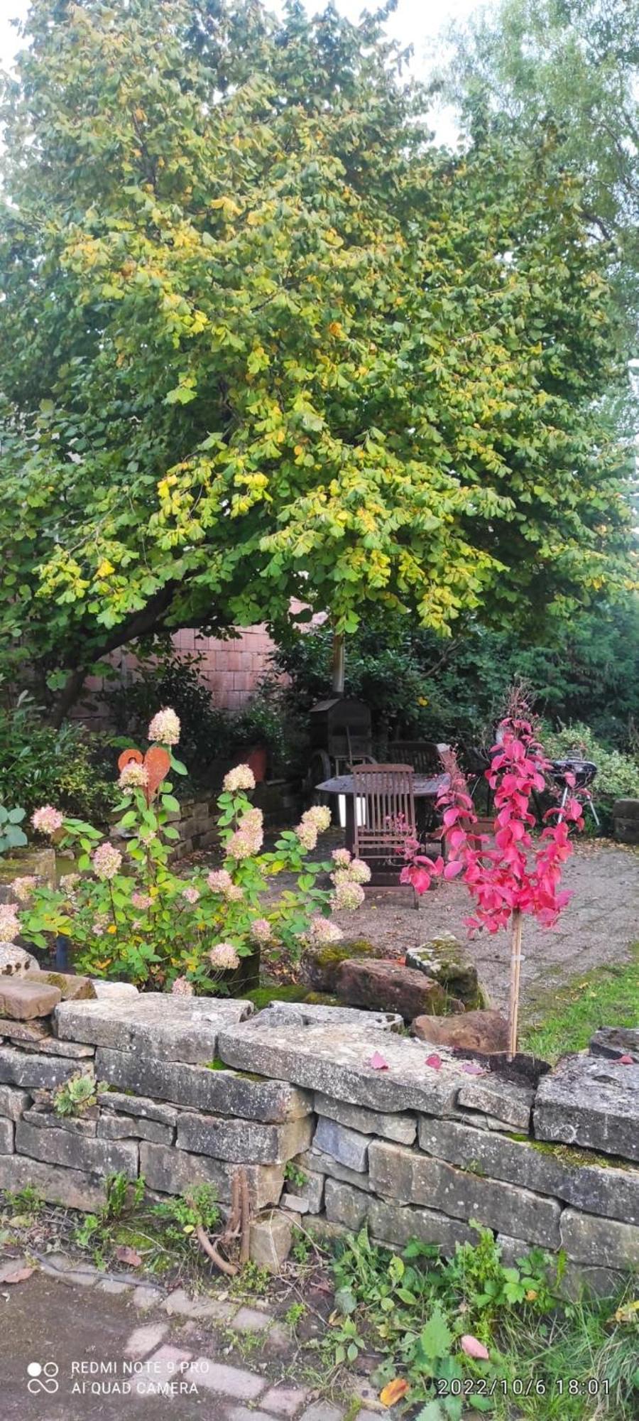Gite Au Petit Ruisseau-Etage Et Combles-Maison Alsacienne 4 Personnes 4 Nuitees Minimum Langensoultzbach Luaran gambar